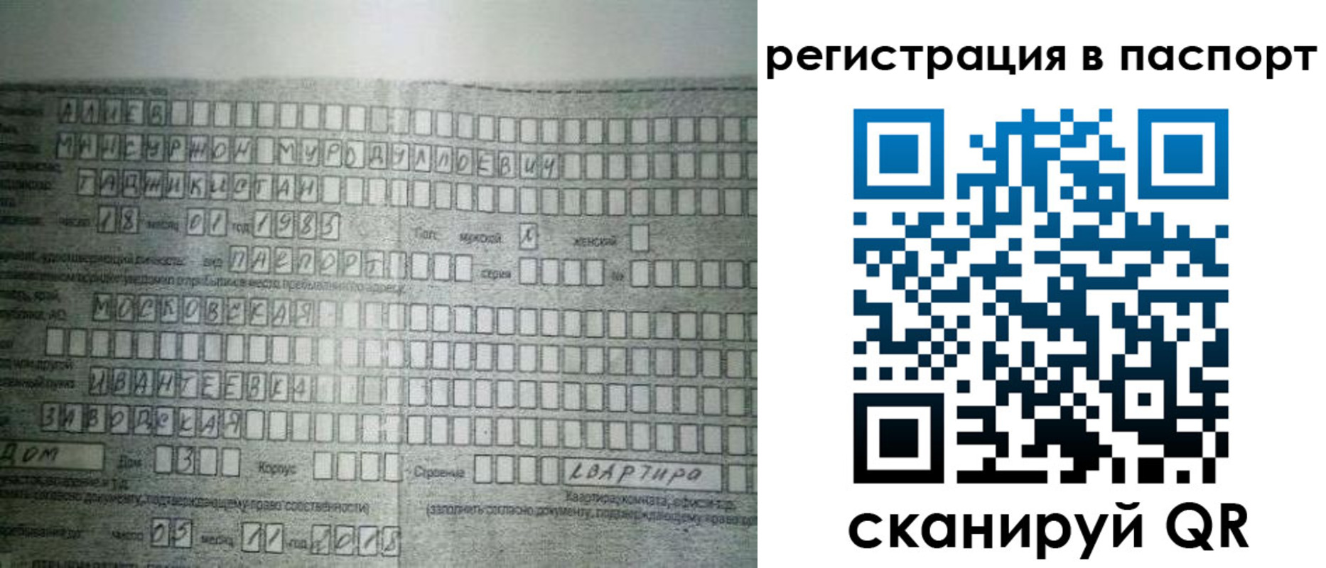 временная регистрация законно в Димитровграде